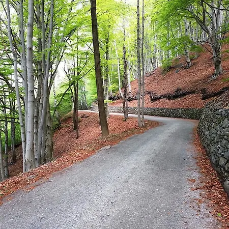 Osteria Grotto Monti Motti Bed & Breakfast *